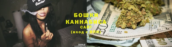 прущие грибы Алексеевка