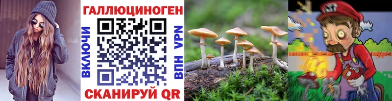 Галлюциногенные грибы мицелий  Воткинск 