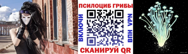 Галлюциногенные грибы MAGIC MUSHROOMS Воткинск